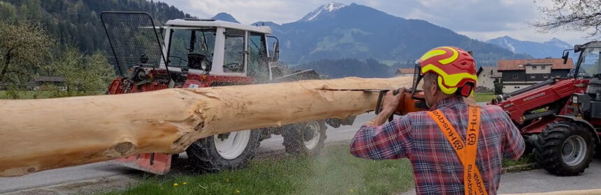 30. April 2022: der Maibaum 2022 steht